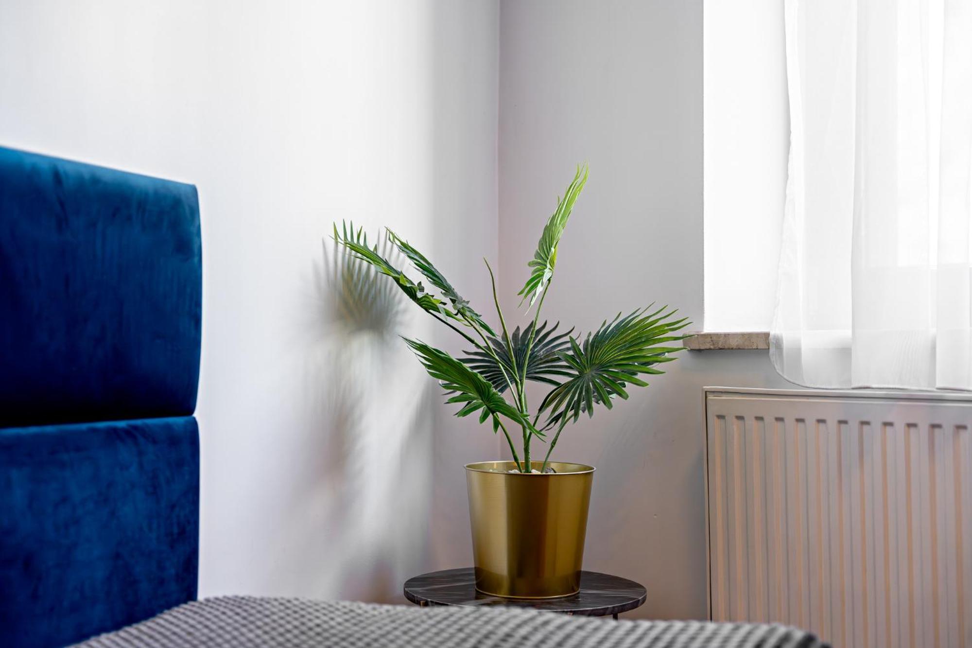 Great Polonia Dwarf Wroclaw Bed & Breakfast エクステリア 写真